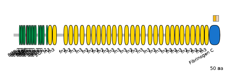 BtaINT0151355-EXC