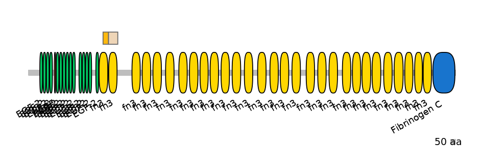 BtaINT0151357-EXC