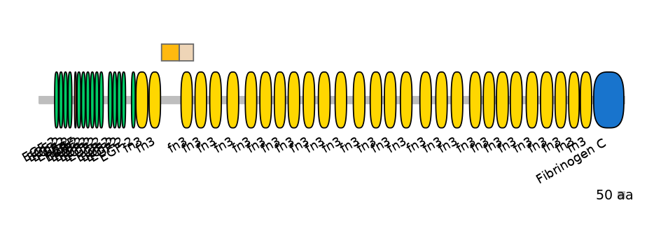 BtaINT0151359-EXC