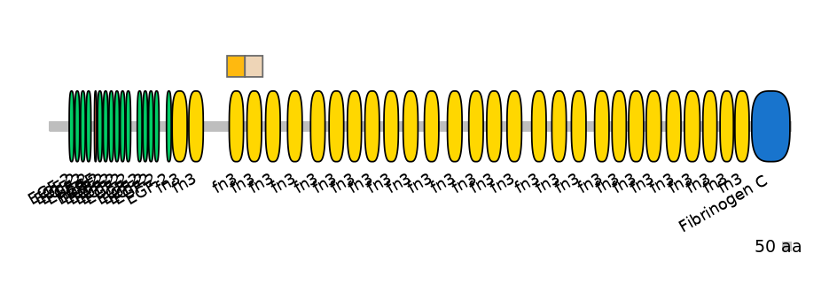 BtaINT0151360-EXC