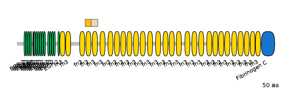 BtaINT0151361-EXC