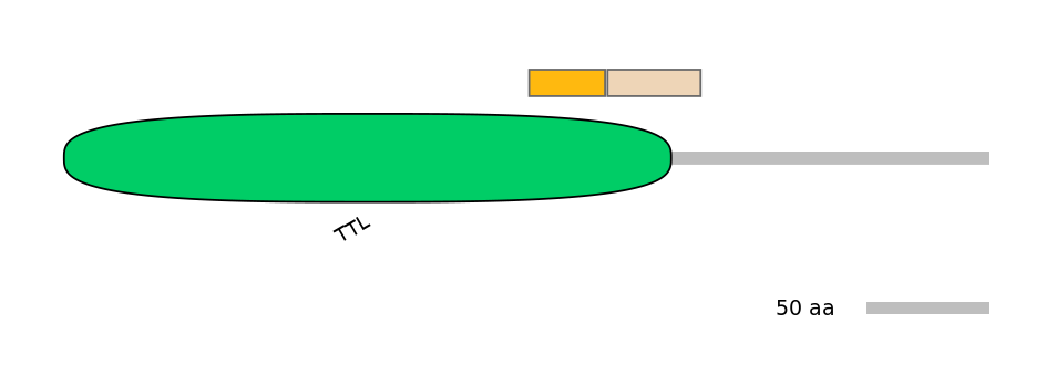 BtaINT0154767-EXC