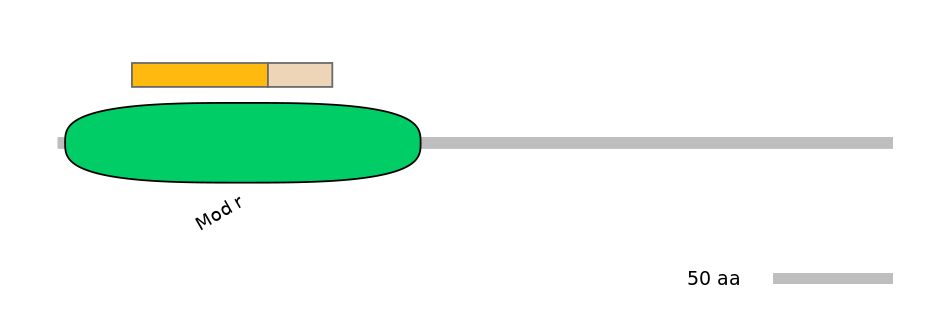 BtaINT0160234-EXC