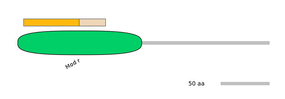 BtaINT0160237-EXC