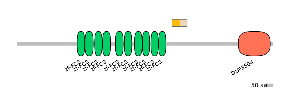 BtaINT0164725-EXC