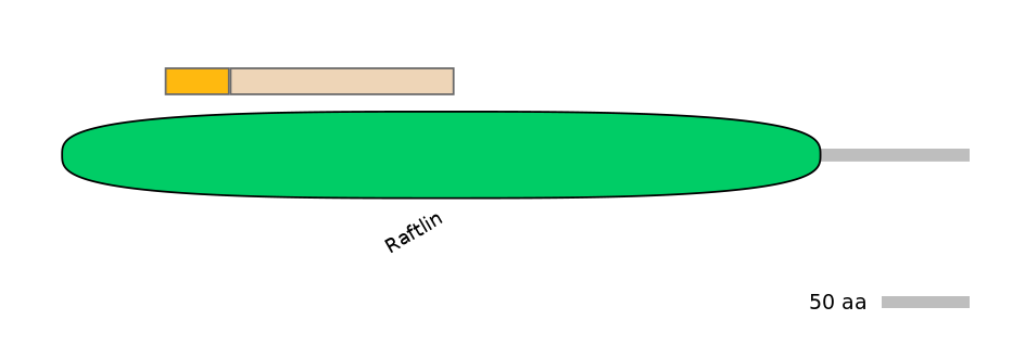 DreALTA0002687-1_2-EXC
