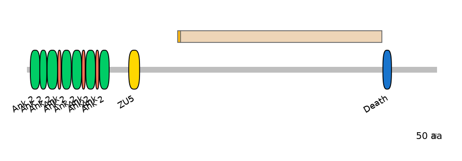 DreALTA0004636-1_2-EXC