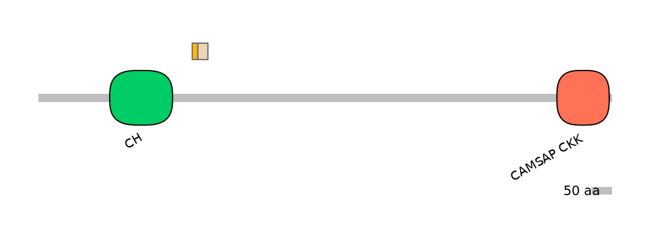 DreALTA0006651-1_2-EXC
