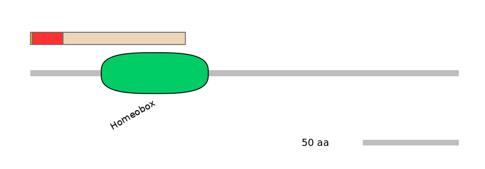 DreALTA0011285-3_4-EXC