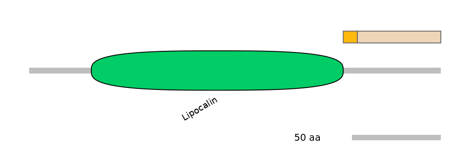 DreALTA0015631-2_2-EXC