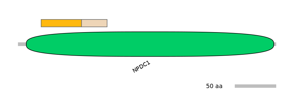 DreALTA0018688-2_2-EXC