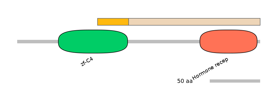 DreALTA0018776-1_2-INC