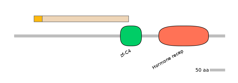 DreALTA0018785-1_2-EXC