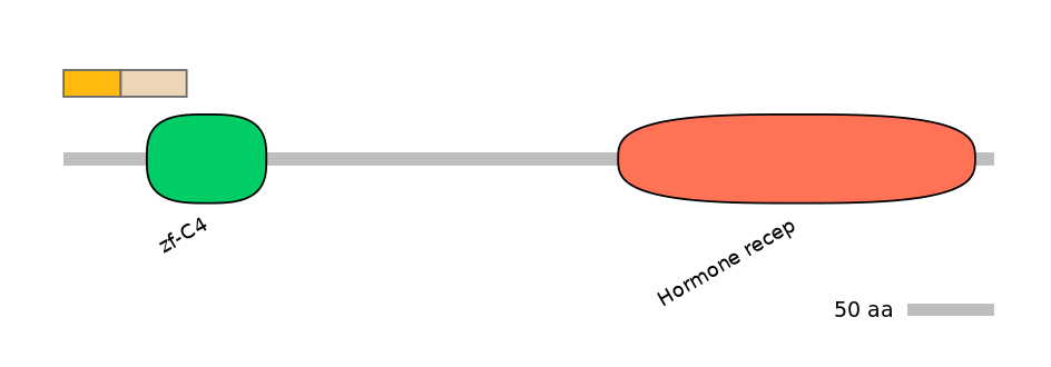 DreALTA0018786-1_2-EXC