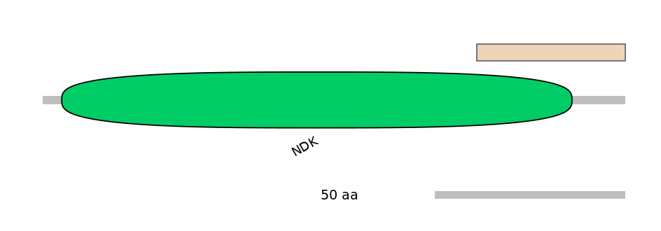 DreALTA0021682-1_4-EXC