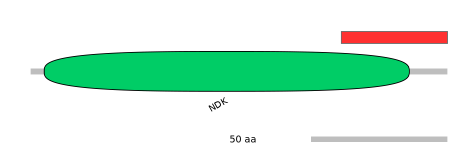 DreALTA0021682-4_4-EXC