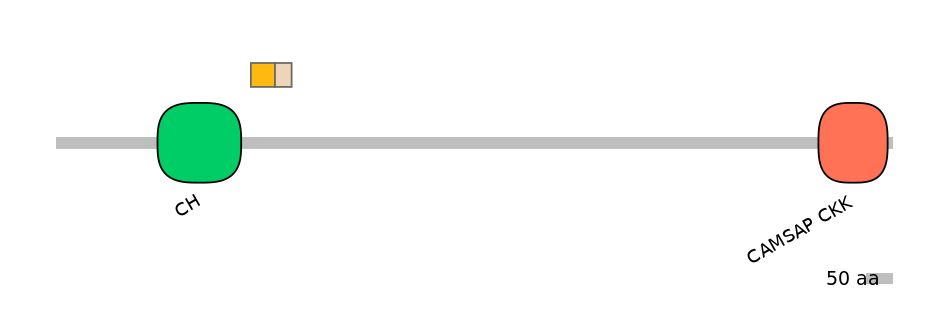 DreALTD0004544-2_2-EXC