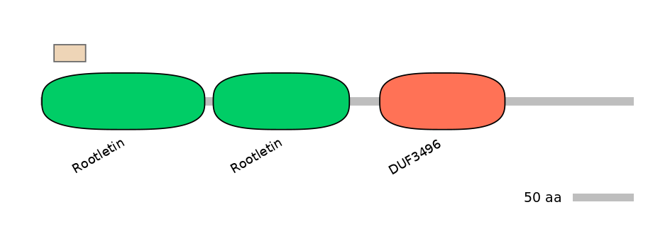 DreEX0000441-EXC