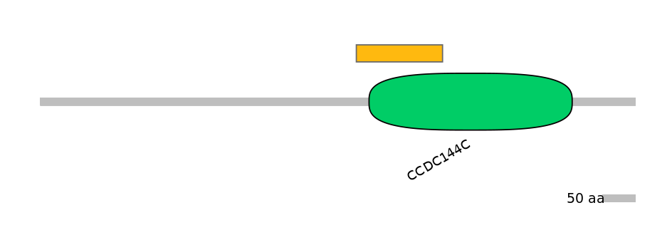 DreEX0000444-EXC