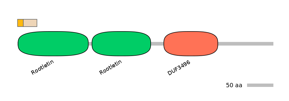 DreEX0000445-EXC