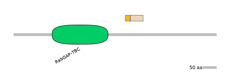 DreEX0004060-EXC