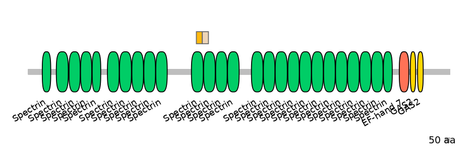 DreEX0004486-EXC