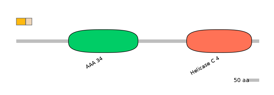 DreEX0007737-EXC