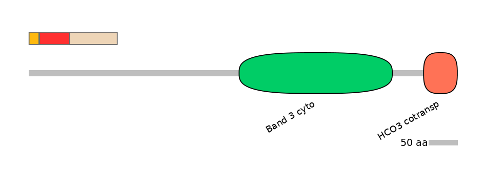 DreEX0008099-INC