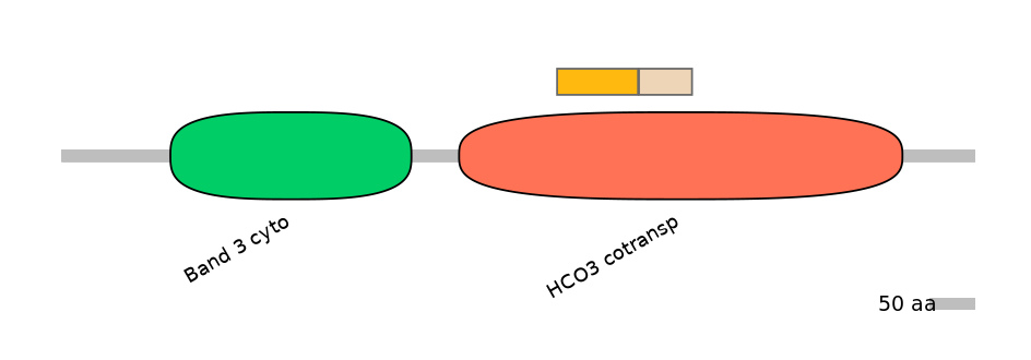 DreEX0008108-EXC