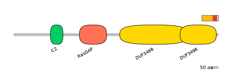 DreEX0008561-INC