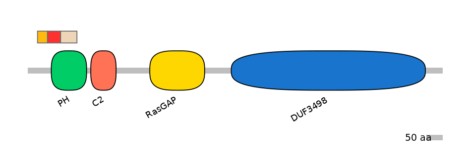 DreEX0008564-INC