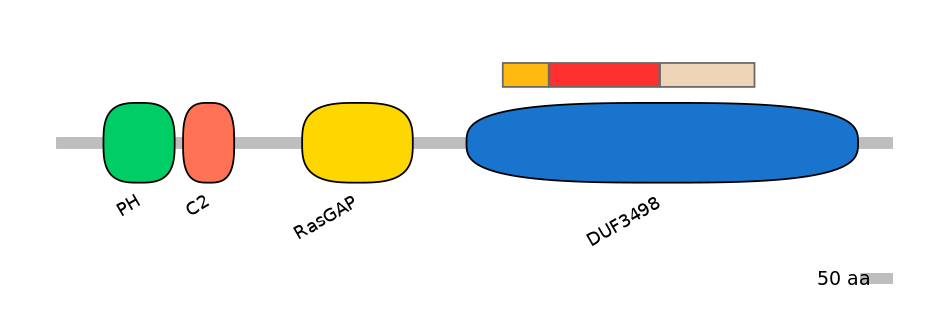 DreEX0008567-INC