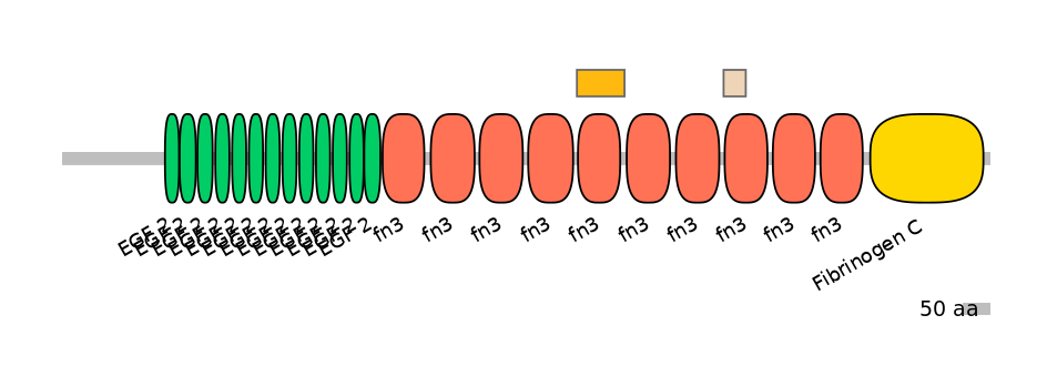 DreEX0008937-EXC