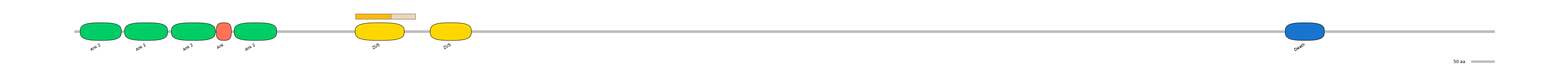 DreEX0013090-EXC