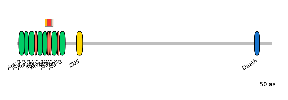DreEX0013105-INC
