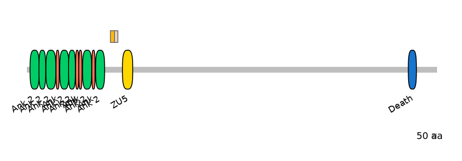 DreEX0013114-EXC