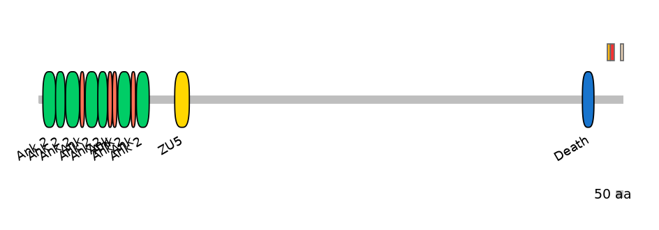 DreEX0013122-INC