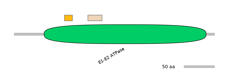 DreEX0016059-EXC