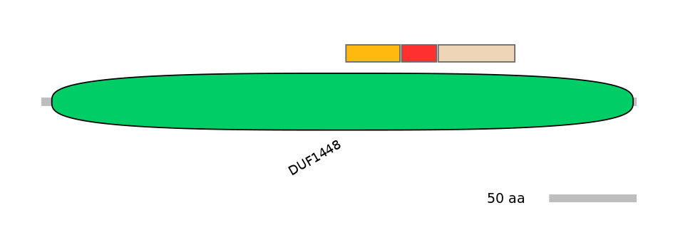 DreEX0016686-INC