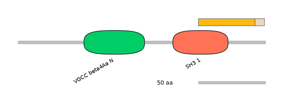 DreEX0018249-EXC