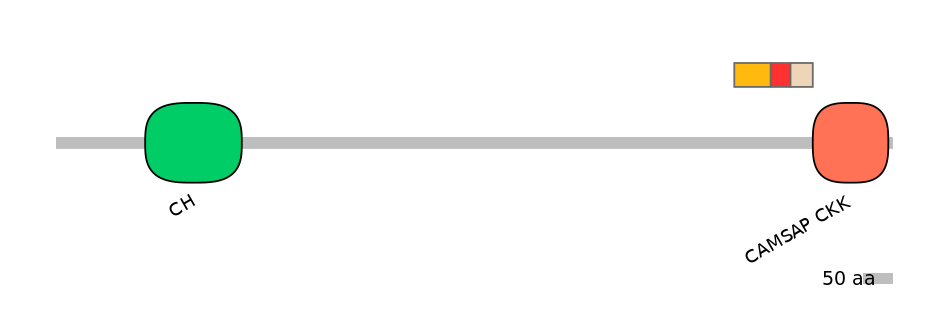 DreEX0018697-INC