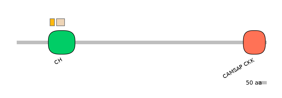DreEX0018705-EXC