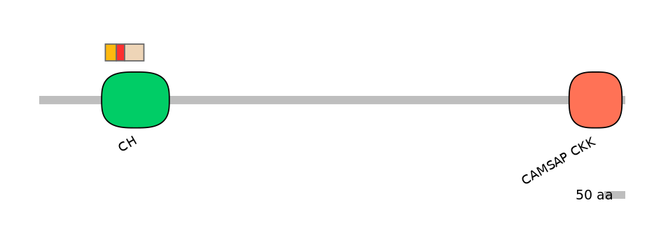 DreEX0018705-INC