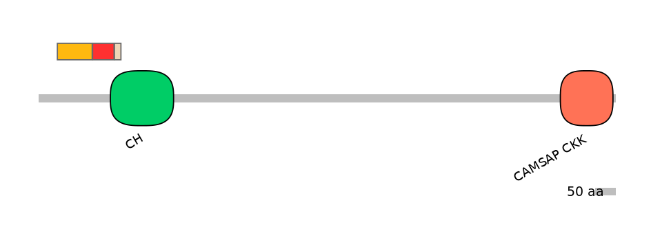 DreEX0018719-INC