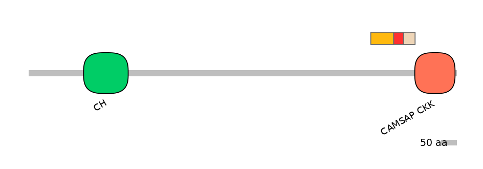 DreEX0018721-INC