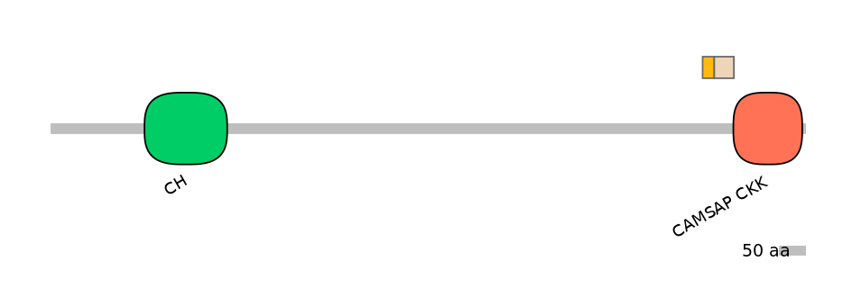 DreEX0018726-EXC