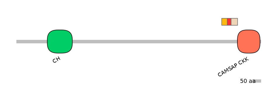DreEX0018726-INC