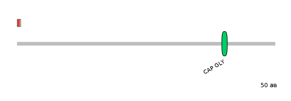 DreEX0020917-INC