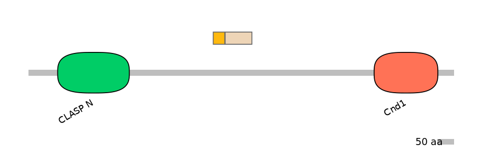 DreEX0021947-EXC