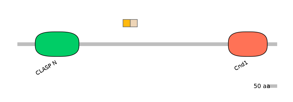 DreEX0021954-EXC
